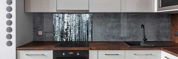 Panou sticla securizata bucatarie mesteacan