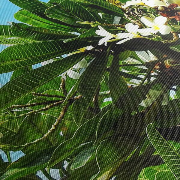 Tablou - Plumeria (90x60 cm)