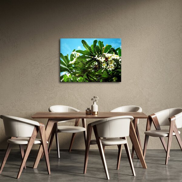 Tablou - Plumeria (70x50 cm)