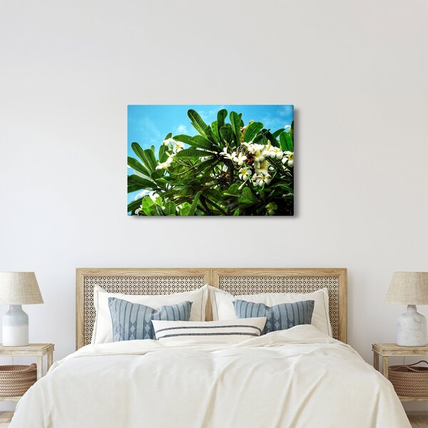 Tablou - Plumeria (90x60 cm)