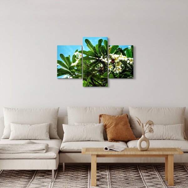 Tablou - Plumeria (90x60 cm)