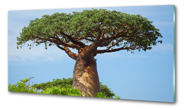 Sticlă printata bucătărie Baobab