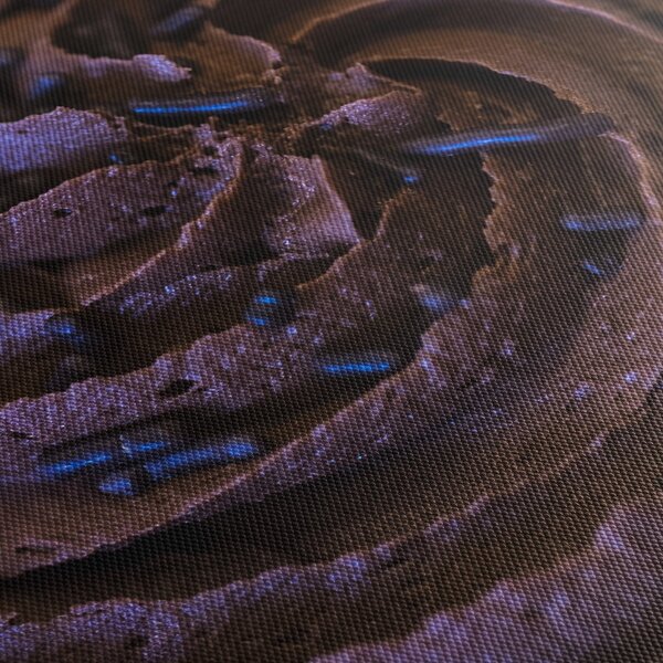 Tablou - Cupcake din ciocolată (90x60 cm)