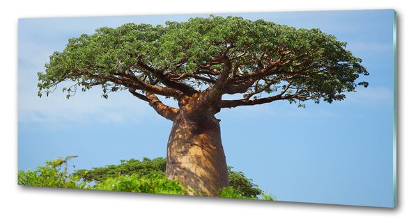 Sticlă printata bucătărie Baobab