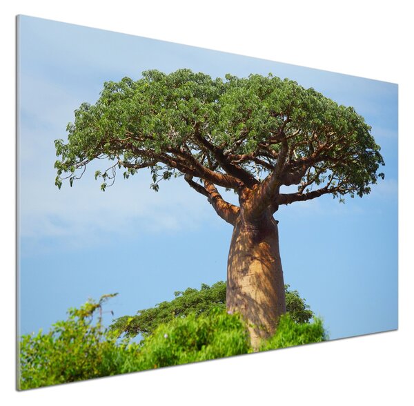 Sticlă printata bucătărie Baobab