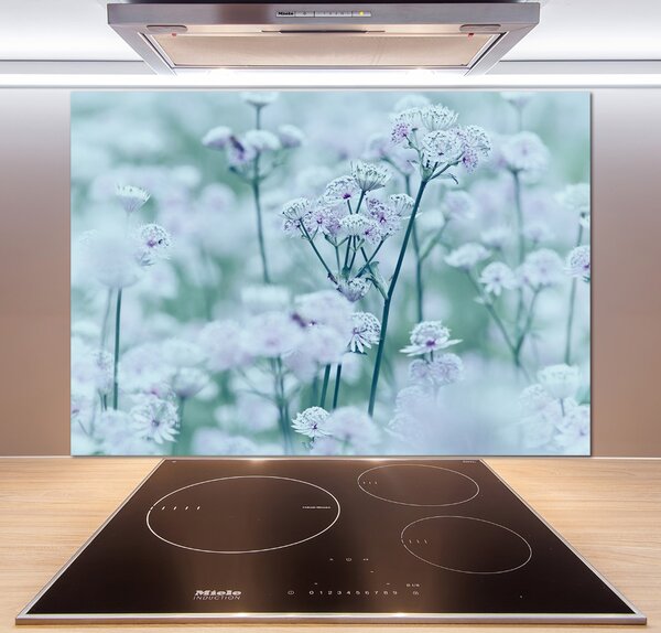 Panou sticlă bucătărie Astrantia majore