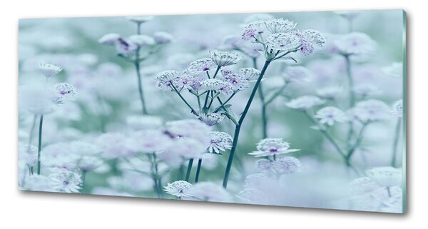 Panou sticlă bucătărie Astrantia majore