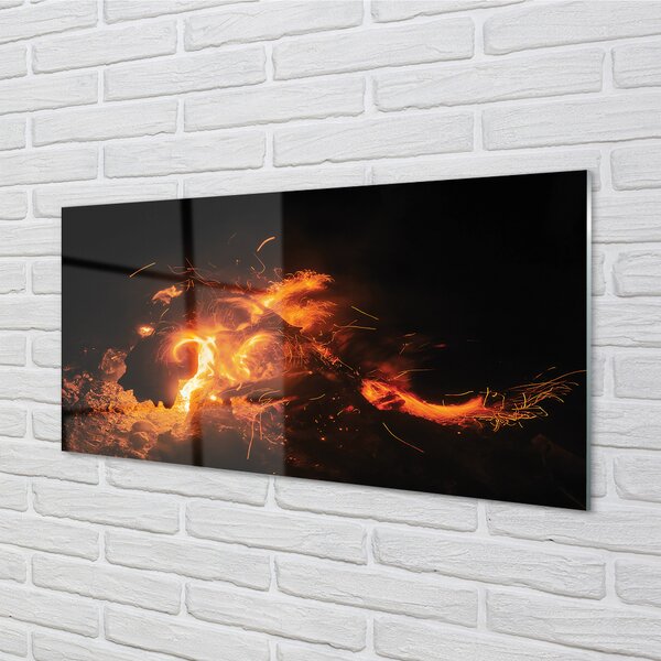 Tablouri acrilice Dragon de foc