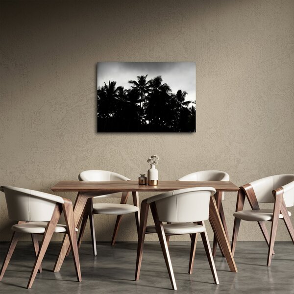 Tablou alb negru - palmieri (70x50 cm)