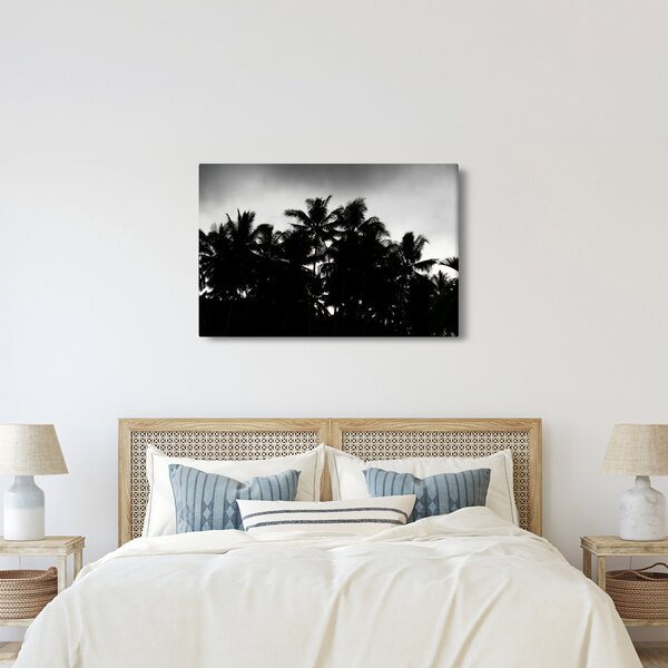 Tablou alb negru - palmieri (90x60 cm)