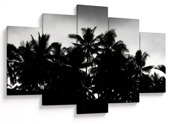 Tablou alb negru - palmieri (150x105 cm)