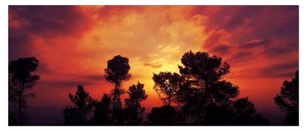 Tablou apus de soare (120x50 cm)