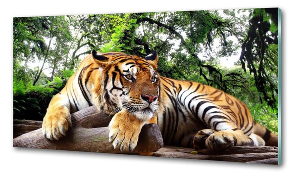 Panou de bucătărie Tiger pe stâncă