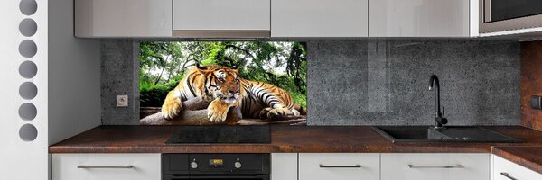 Panou de bucătărie Tiger pe stâncă