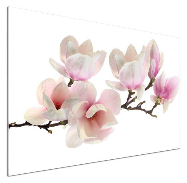 Sticlă pentru bucătărie Magnolie