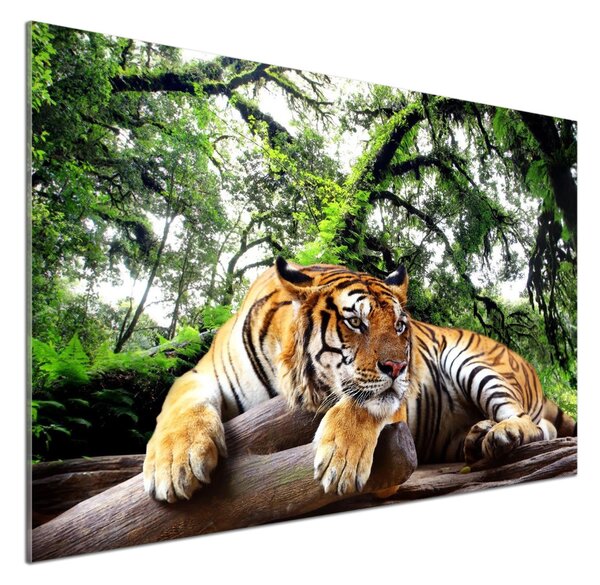 Panou de bucătărie Tiger pe stâncă