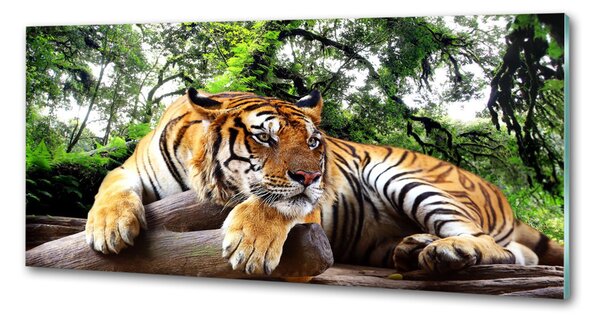 Panou de bucătărie Tiger pe stâncă