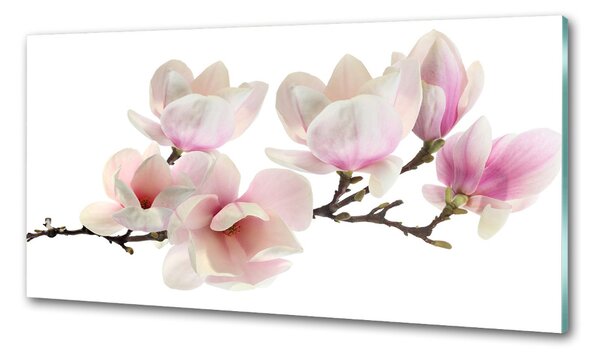 Sticlă pentru bucătărie Magnolie