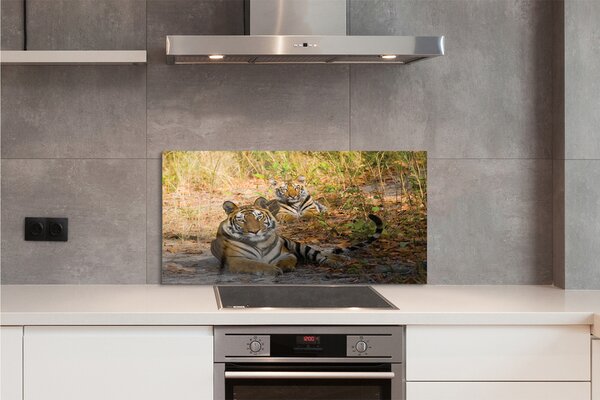 Panouri de sticlă Tigers