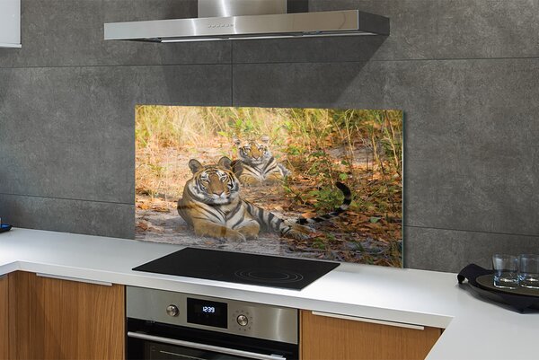 Panouri de sticlă Tigers