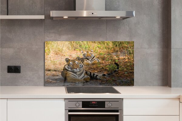 Panouri de sticlă Tigers