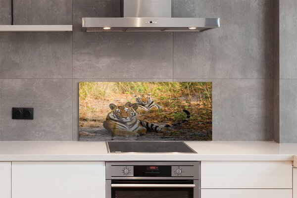 Panouri de sticlă Tigers