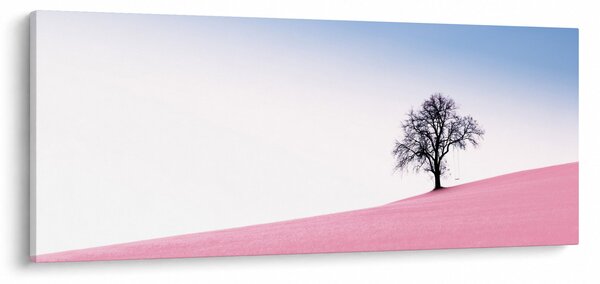 Tablou - Visul roz (120x50 cm)