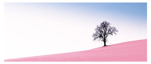 Tablou - Visul roz (120x50 cm)