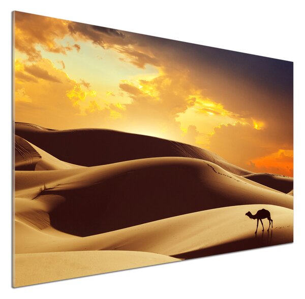 Panou de bucătărie cămilă Sahara