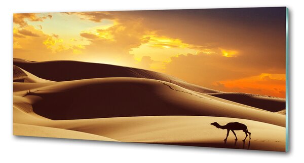 Panou de bucătărie cămilă Sahara