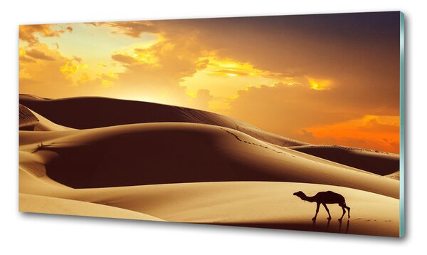 Panou de bucătărie cămilă Sahara