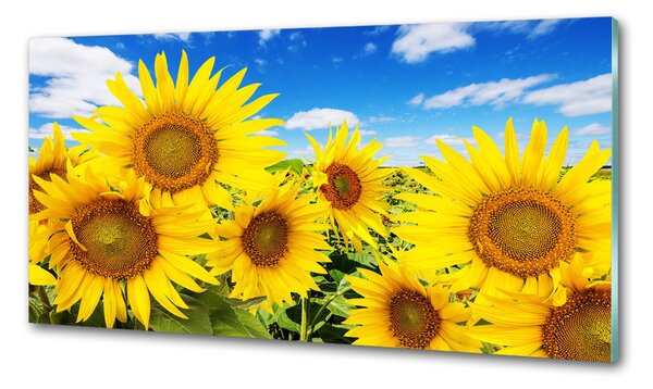 Panou sticla securizata bucatarie Floarea soarelui