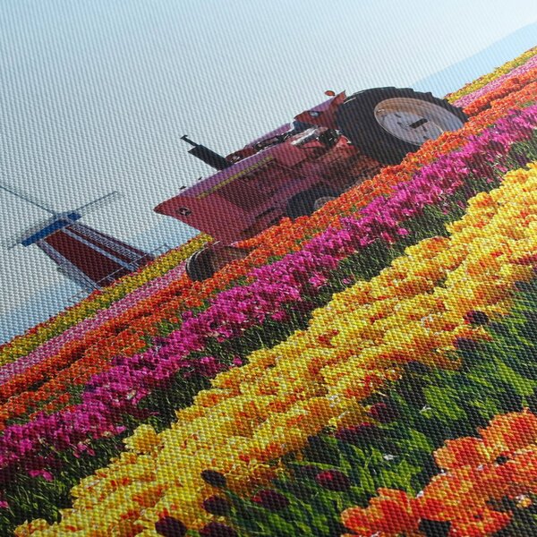 Tablou cu farma de lalele (90x60 cm)