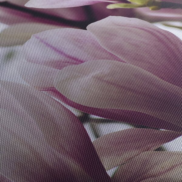 Tablou - Magnolie (90x60 cm)