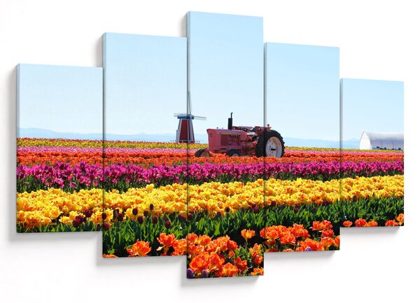Tablou cu farma de lalele (150x105 cm)