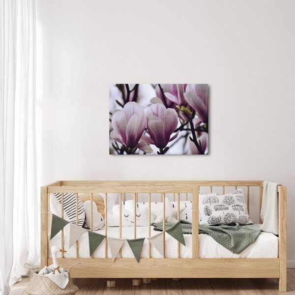 Tablou - Magnolie (70x50 cm)