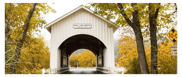 Tablou cu podul în Oregon (120x50 cm)