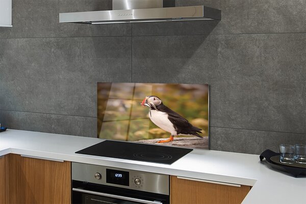 Panouri de sticlă Papagal