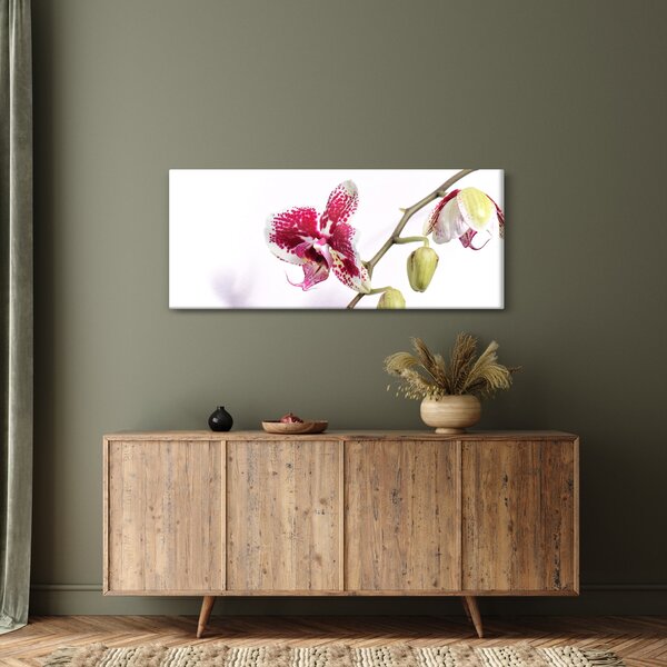 Tablou cu floarea de orhidee (120x50 cm)