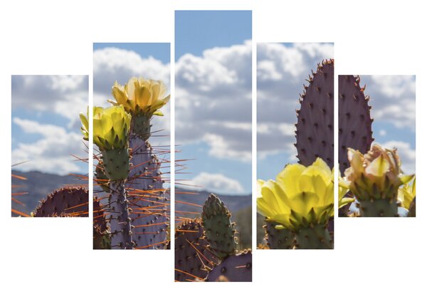 Tablou cu floarea de cactus Opunție (150x105 cm)