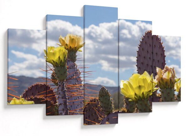 Tablou cu floarea de cactus Opunție (150x105 cm)