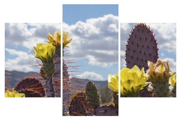 Tablou cu floarea de cactus Opunție (90x60 cm)