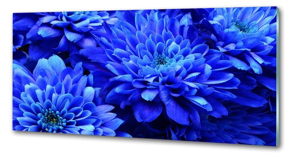 Sticlă pentru bucătărie Aster albastru