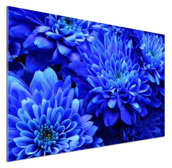 Sticlă pentru bucătărie Aster albastru