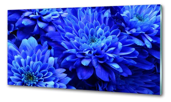 Sticlă pentru bucătărie Aster albastru