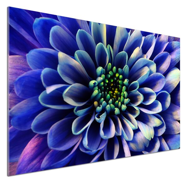 Sticlă bucătărie Aster