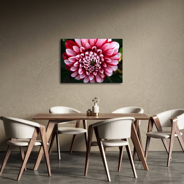 Tablou cu dalie roz (70x50 cm)