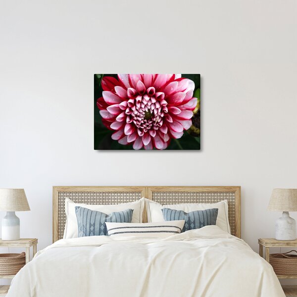 Tablou cu dalie roz (70x50 cm)