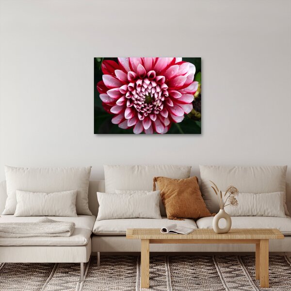 Tablou cu dalie roz (70x50 cm)
