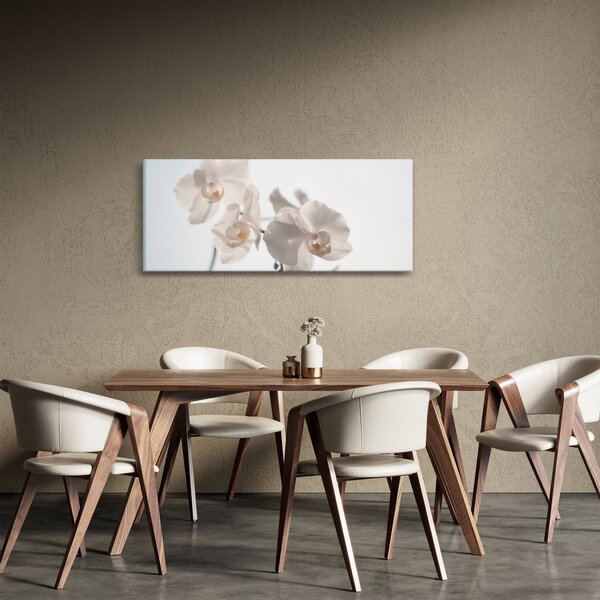 Tablou cu orhidee albă (120x50 cm)